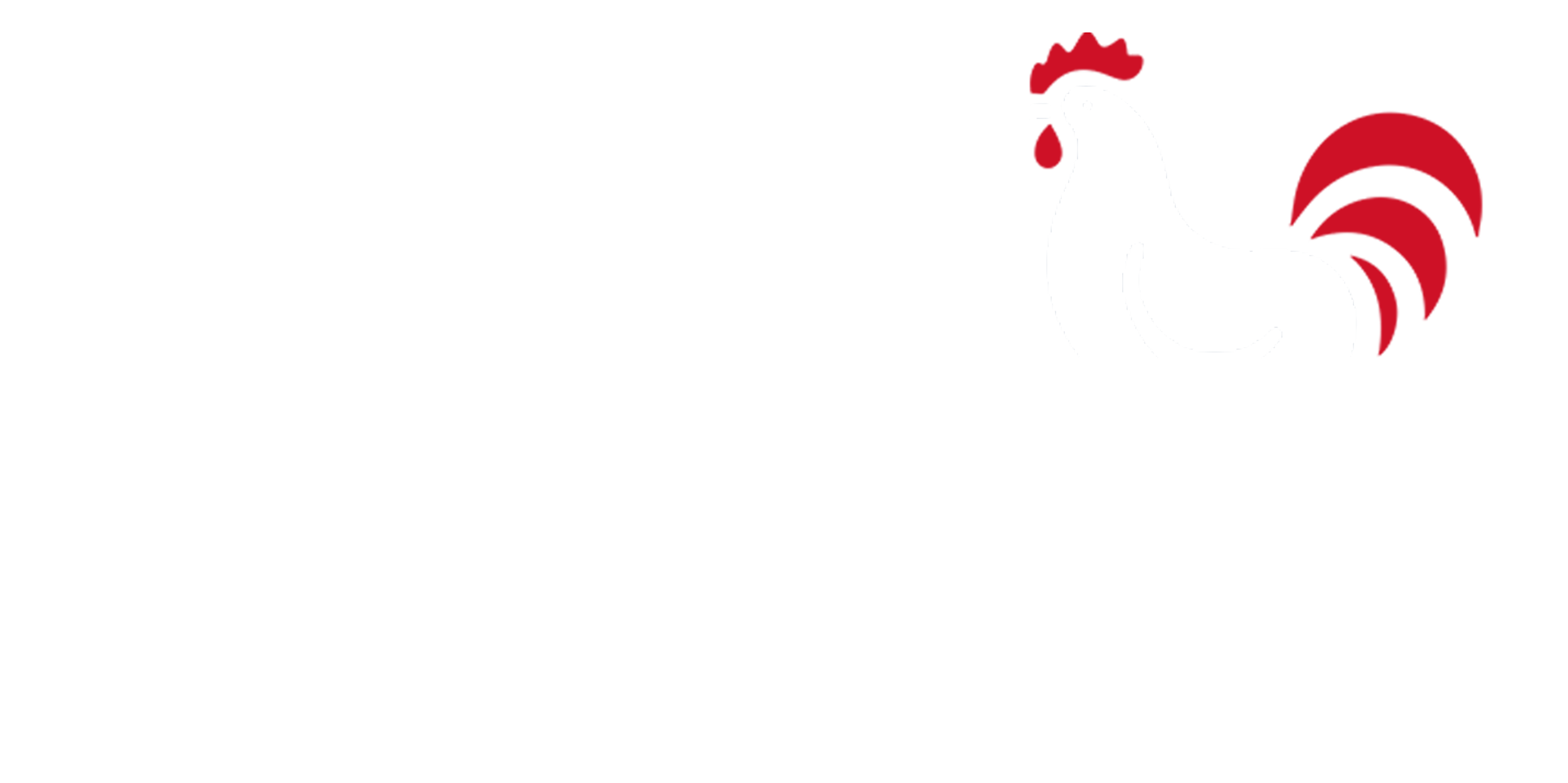 Toplogo